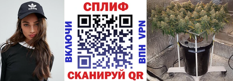 МАРИХУАНА THC 21% hydra рабочий сайт Фролово что такое наркотик